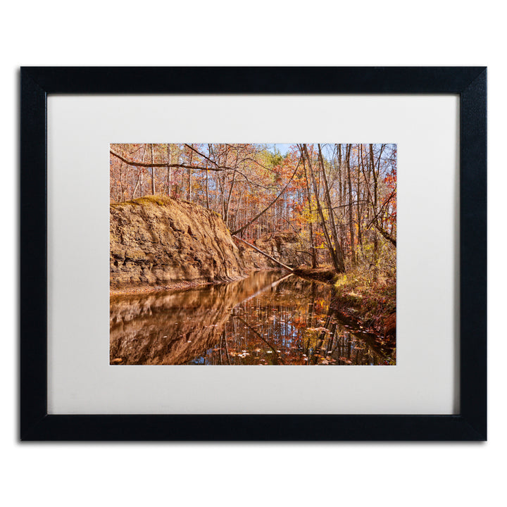 Jason Shaffer Beaver Creek 6 Black Wooden Framed Art 18 x 22 Inches Image 1