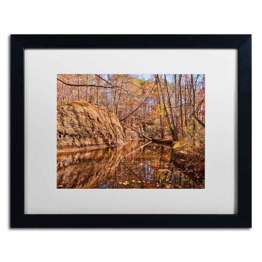 Jason Shaffer Beaver Creek 6 Black Wooden Framed Art 18 x 22 Inches Image 1