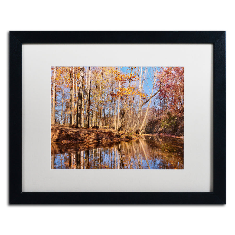 Jason Shaffer Beaver Creek 7 Black Wooden Framed Art 18 x 22 Inches Image 1