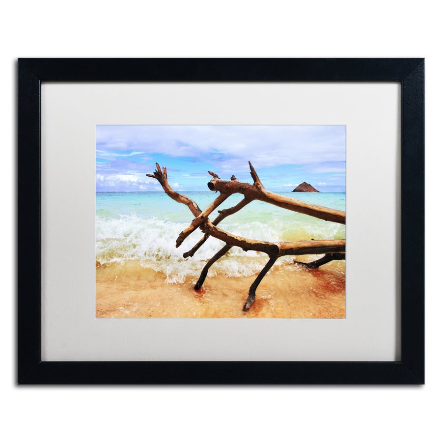 Jason Shaffer Hawaii 2 Black Wooden Framed Art 18 x 22 Inches Image 1