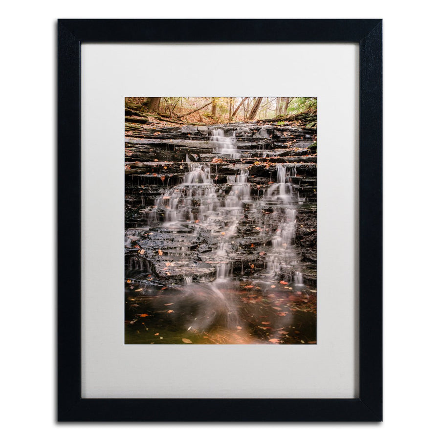 Jason Shaffer Hidden Falls Black Wooden Framed Art 18 x 22 Inches Image 1