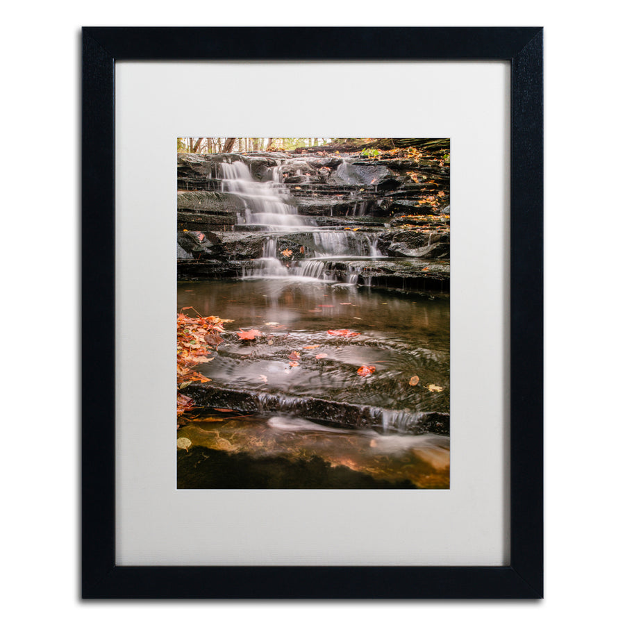 Jason Shaffer Hidden Falls 2 Black Wooden Framed Art 18 x 22 Inches Image 1