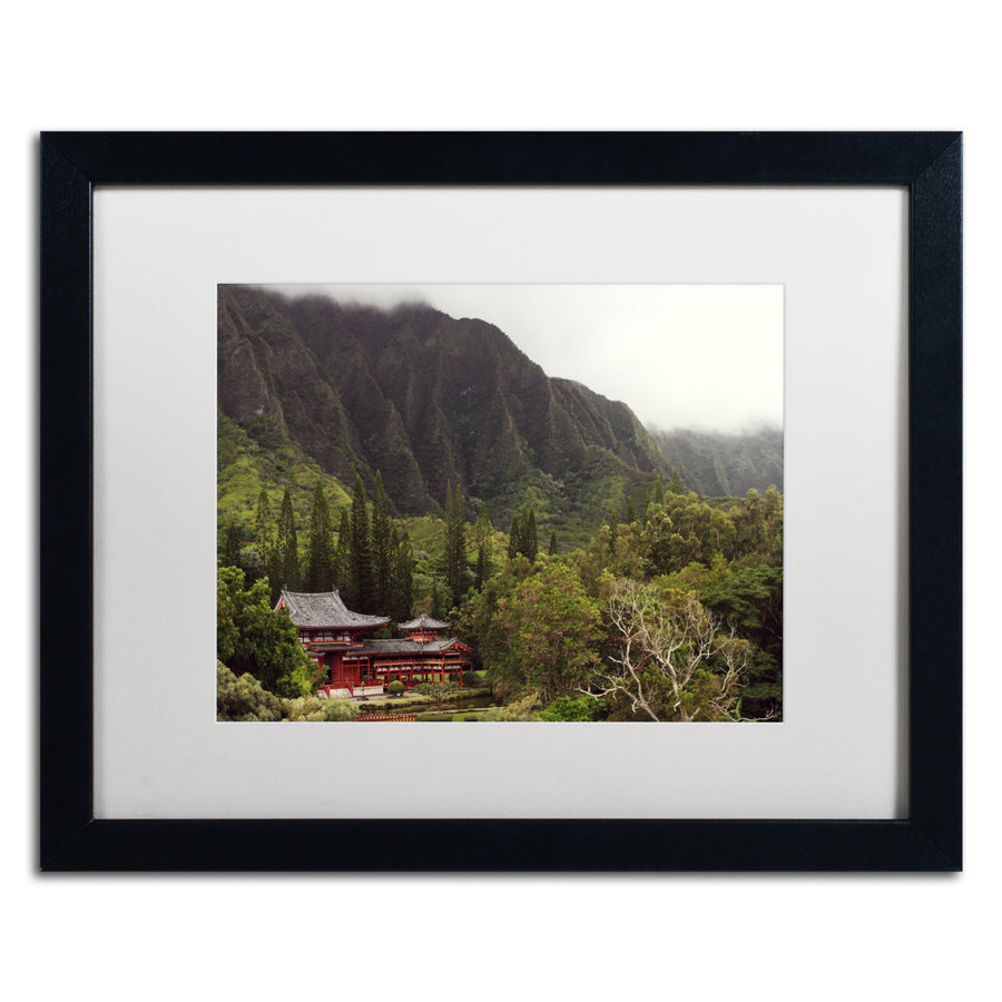 Jason Shaffer Hawaii Black Wooden Framed Art 18 x 22 Inches Image 1