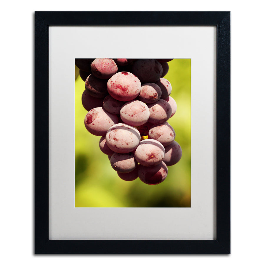 Jason Shaffer Homegrown Grapes Black Wooden Framed Art 18 x 22 Inches Image 1