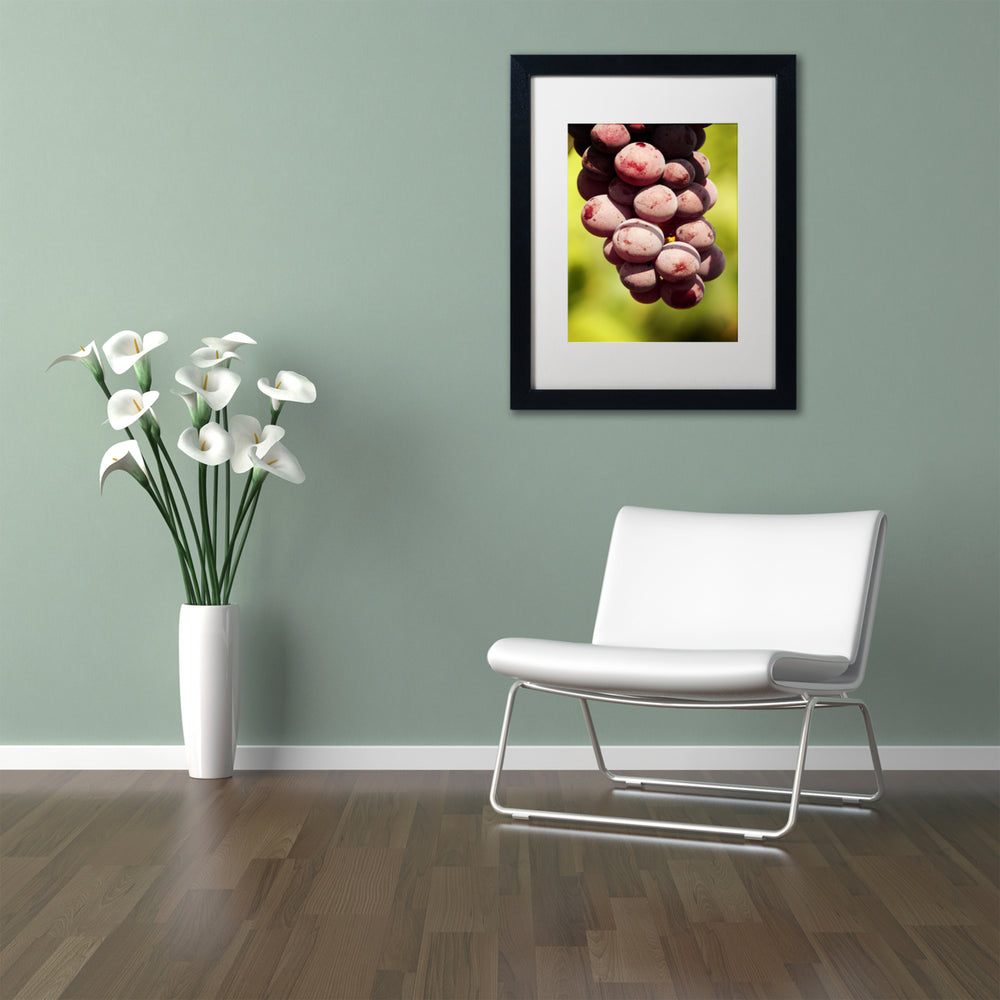 Jason Shaffer Homegrown Grapes Black Wooden Framed Art 18 x 22 Inches Image 2