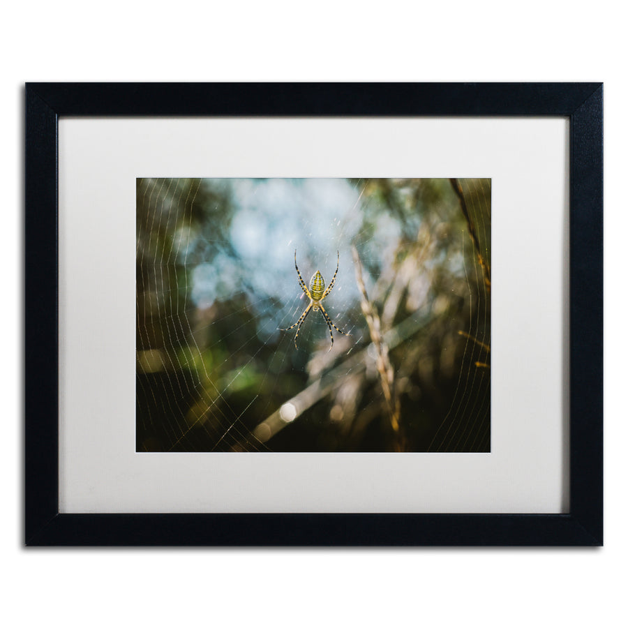 Jason Shaffer Orb Weaver 2 Black Wooden Framed Art 18 x 22 Inches Image 1