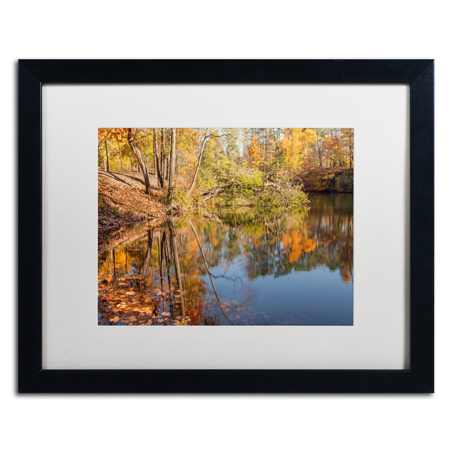 Jason Shaffer Quarry Reflections Black Wooden Framed Art 18 x 22 Inches Image 1