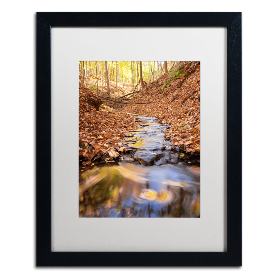 Jason Shaffer Secret Spot Black Wooden Framed Art 18 x 22 Inches Image 1