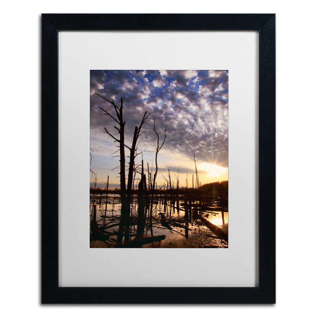 Jason Shaffer Sandy Ridge Black Wooden Framed Art 18 x 22 Inches Image 1