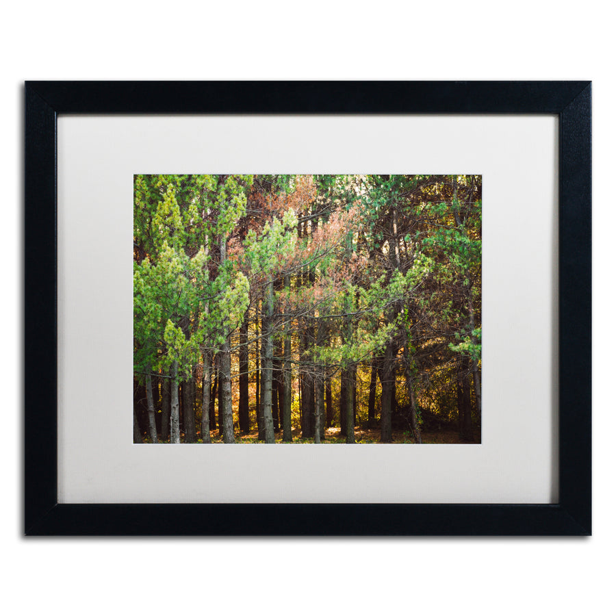 Jason Shaffer Summer Tree Line Black Wooden Framed Art 18 x 22 Inches Image 1