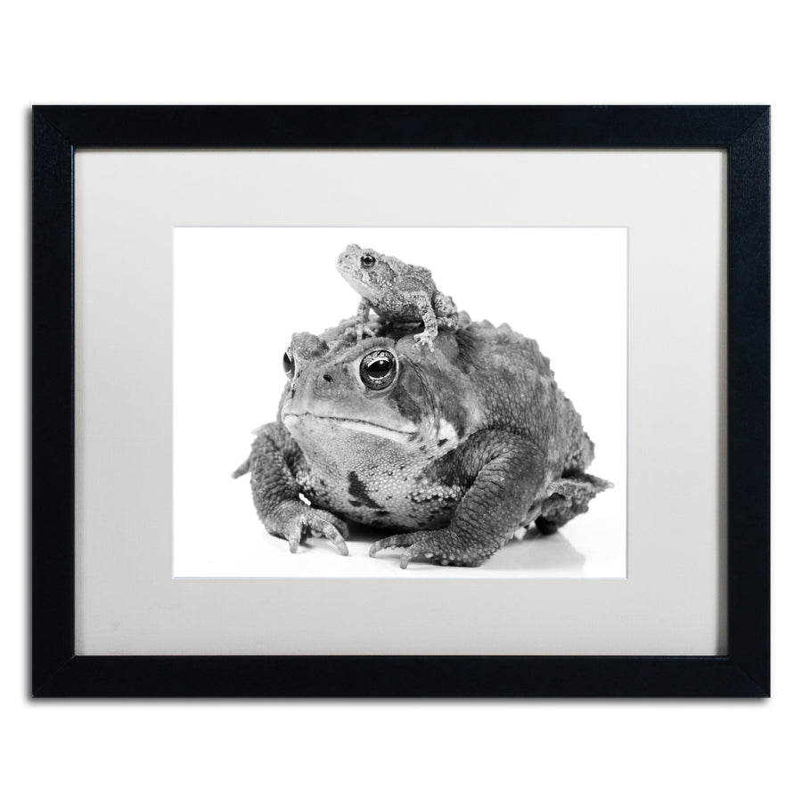 Jason Shaffer Two Toads Black Wooden Framed Art 18 x 22 Inches Image 1