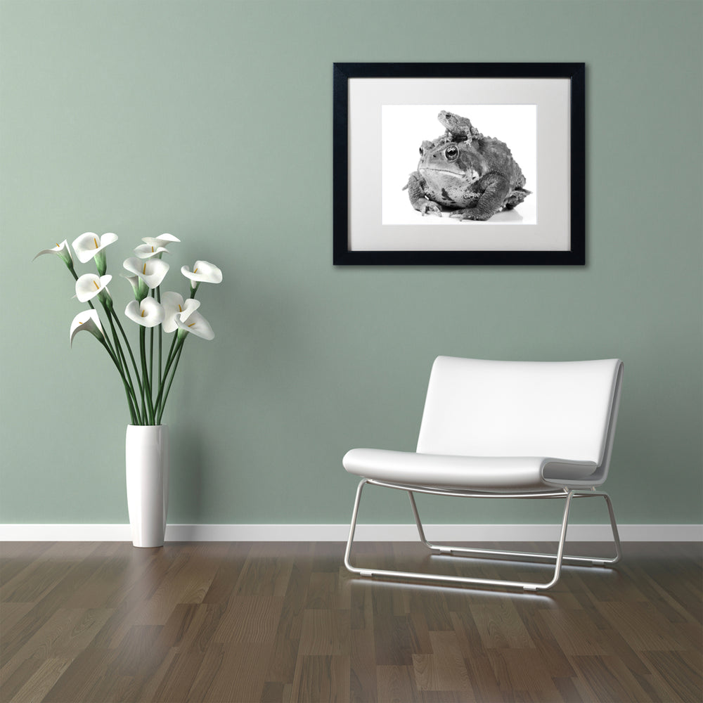 Jason Shaffer Two Toads Black Wooden Framed Art 18 x 22 Inches Image 2