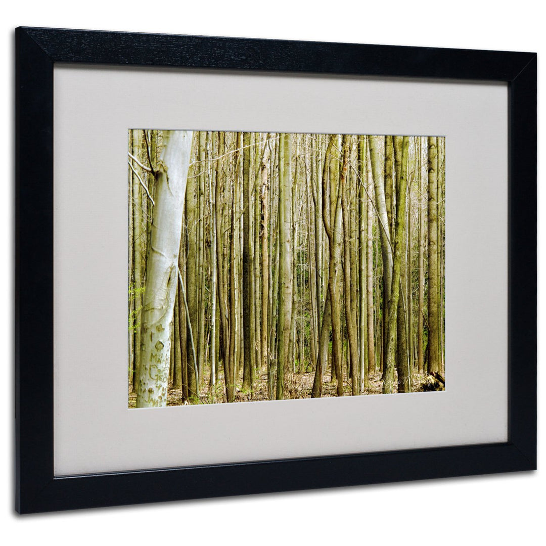 Kathie McCurdy Forest Floor Spring Black Wooden Framed Art 18 x 22 Inches Image 1