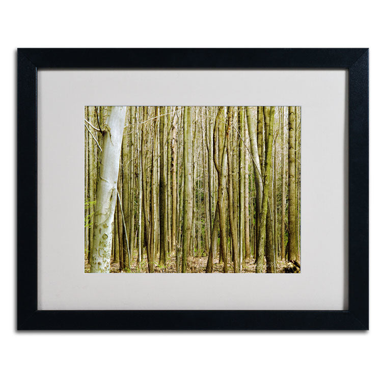 Kathie McCurdy Forest Floor Spring Black Wooden Framed Art 18 x 22 Inches Image 2