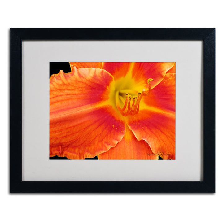 Kathie McCurdy Orange Day Lily Black Wooden Framed Art 18 x 22 Inches Image 2