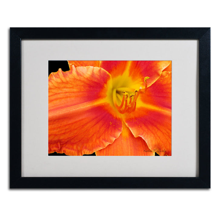 Kathie McCurdy Orange Day Lily Black Wooden Framed Art 18 x 22 Inches Image 3