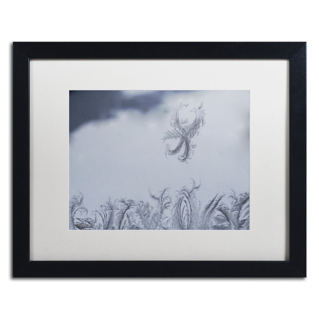 Kurt Shaffer Frost Fairy on a Window Black Wooden Framed Art 18 x 22 Inches Image 1