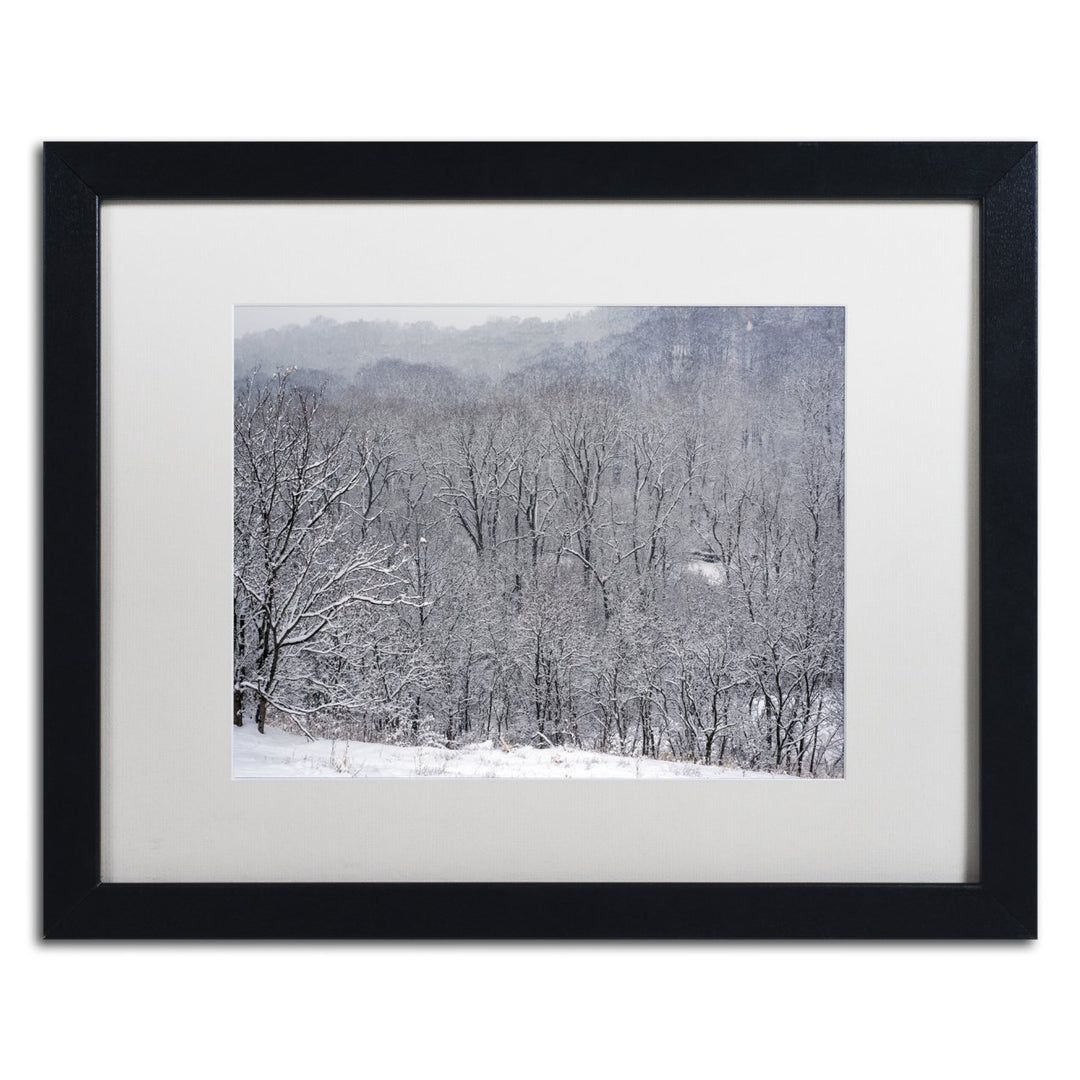 Kurt Shaffer Quiet Heavy Snowfall Black Wooden Framed Art 18 x 22 Inches Image 1