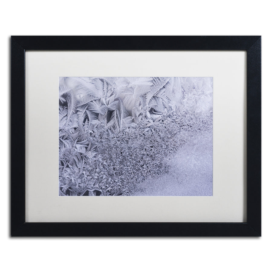 Kurt Shaffer Gradation of Frost on a Window Black Wooden Framed Art 18 x 22 Inches Image 1