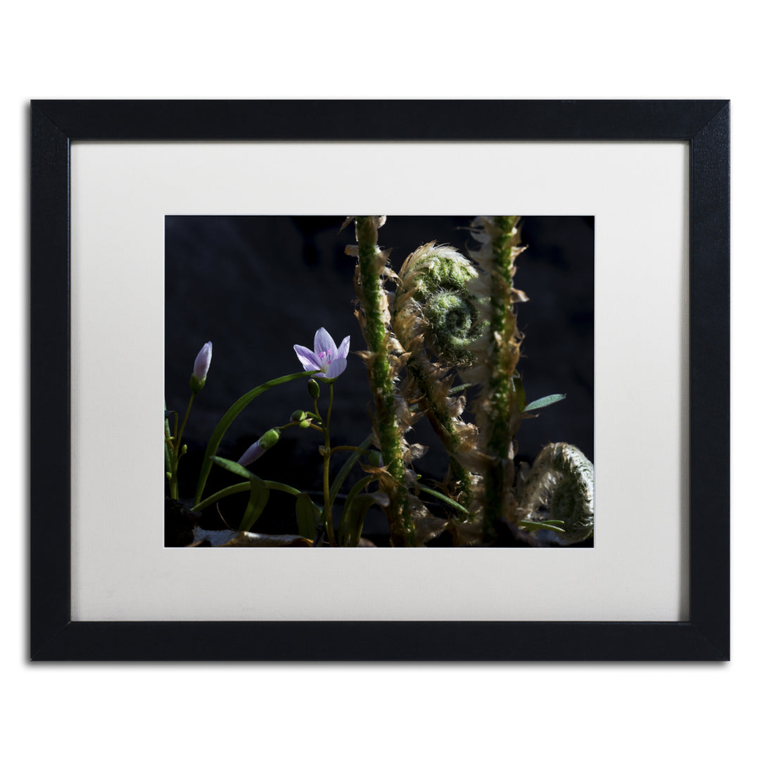 Kurt Shaffer Flowers and Fronds Black Wooden Framed Art 18 x 22 Inches Image 1