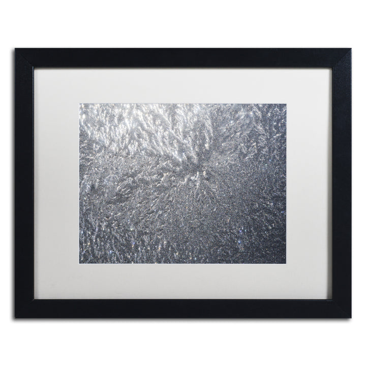 Kurt Shaffer Sunlight Frost Abstract Black Wooden Framed Art 18 x 22 Inches Image 1