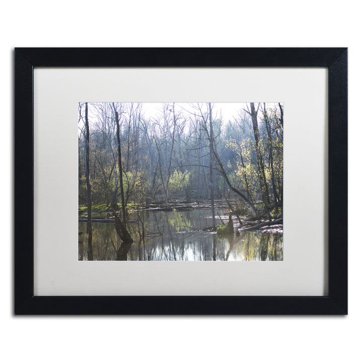 Kurt Shaffer Springtime in the Wetlands Black Wooden Framed Art 18 x 22 Inches Image 1