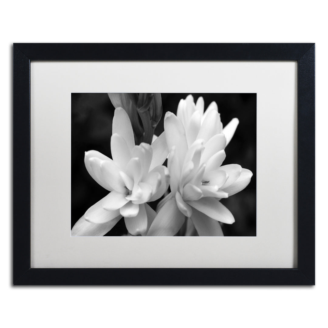 Kurt Shaffer Tuber Rose in Black and White Black Wooden Framed Art 18 x 22 Inches Image 1