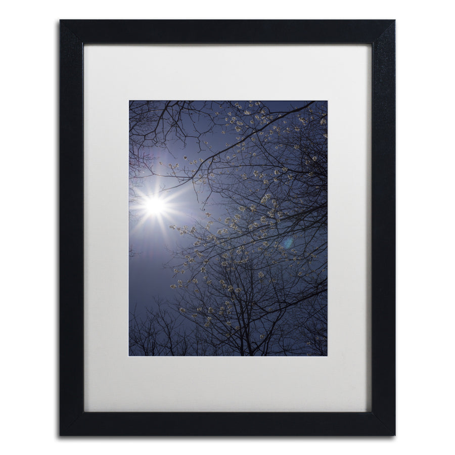 Kurt Shaffer Springtime Sunshine Black Wooden Framed Art 18 x 22 Inches Image 1