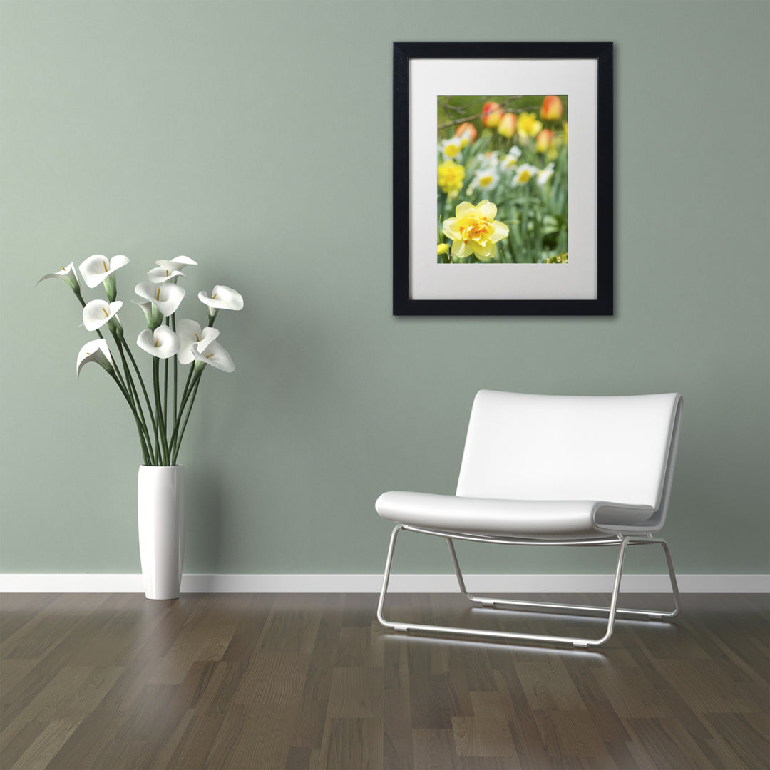 Kurt Shaffer Double Headed Daffodil Black Wooden Framed Art 18 x 22 Inches Image 2