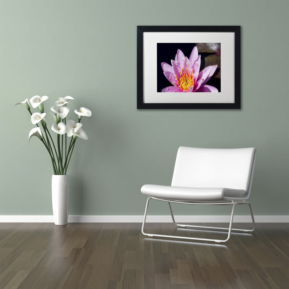 Kurt Shaffer Pink Water Lily Black Wooden Framed Art 18 x 22 Inches Image 2