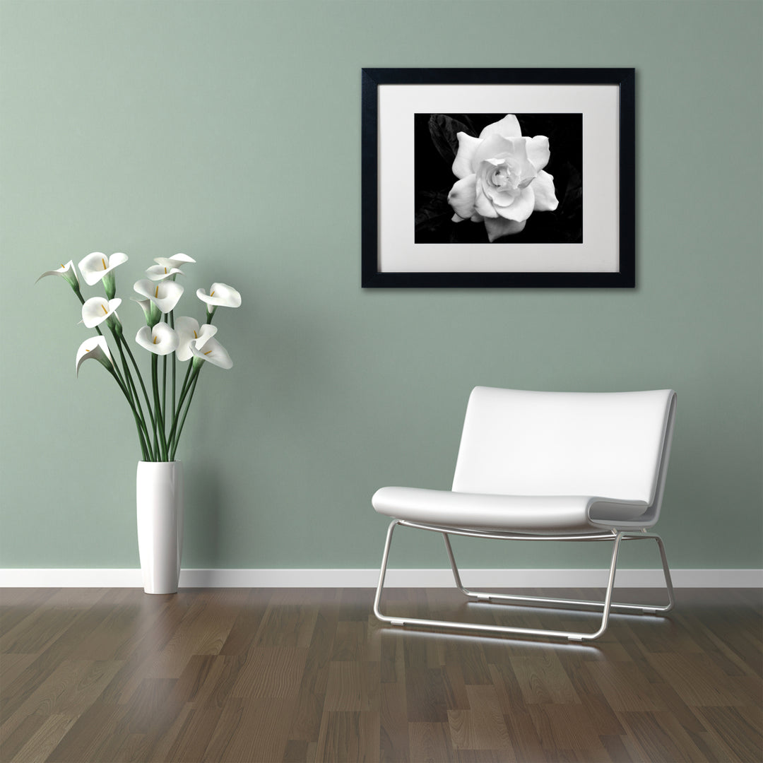 Kurt Shaffer Gardenia in Black and White Black Wooden Framed Art 18 x 22 Inches Image 2