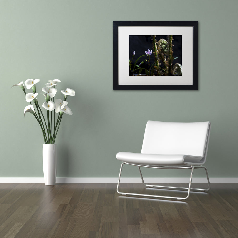 Kurt Shaffer Flowers and Fronds Black Wooden Framed Art 18 x 22 Inches Image 2