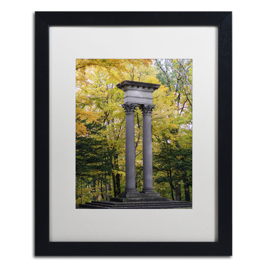 Kurt Shaffer Autumn Columns Black Wooden Framed Art 18 x 22 Inches Image 1