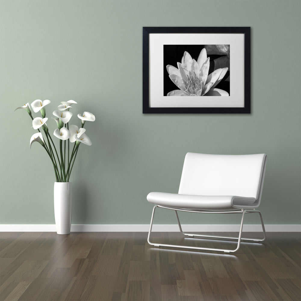 Kurt Shaffer Water Lily in Black and White Black Wooden Framed Art 18 x 22 Inches Image 2