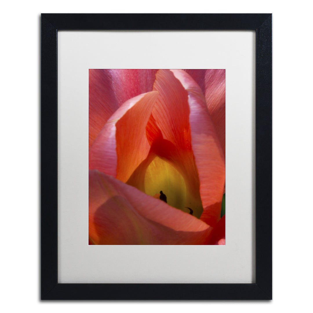 Kurt Shaffer Glowing Tulip Black Wooden Framed Art 18 x 22 Inches Image 1