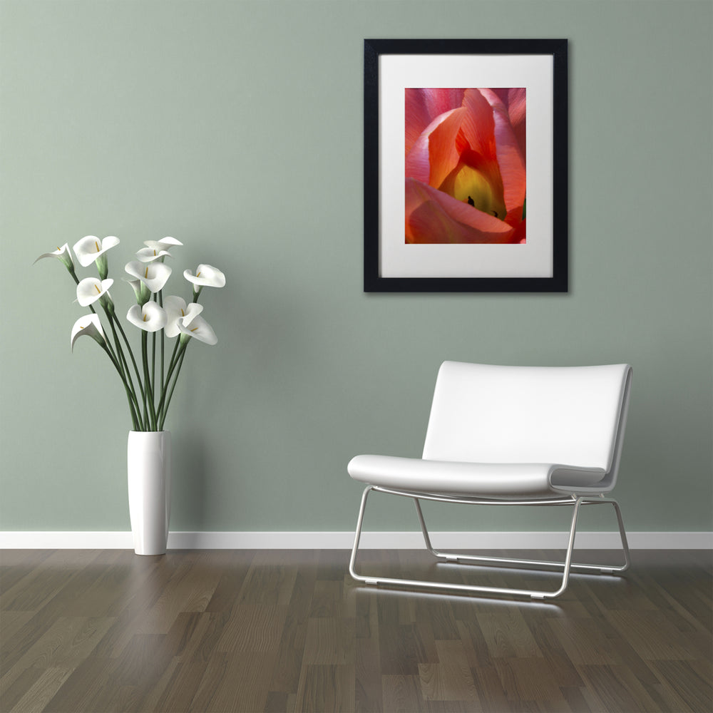 Kurt Shaffer Glowing Tulip Black Wooden Framed Art 18 x 22 Inches Image 2