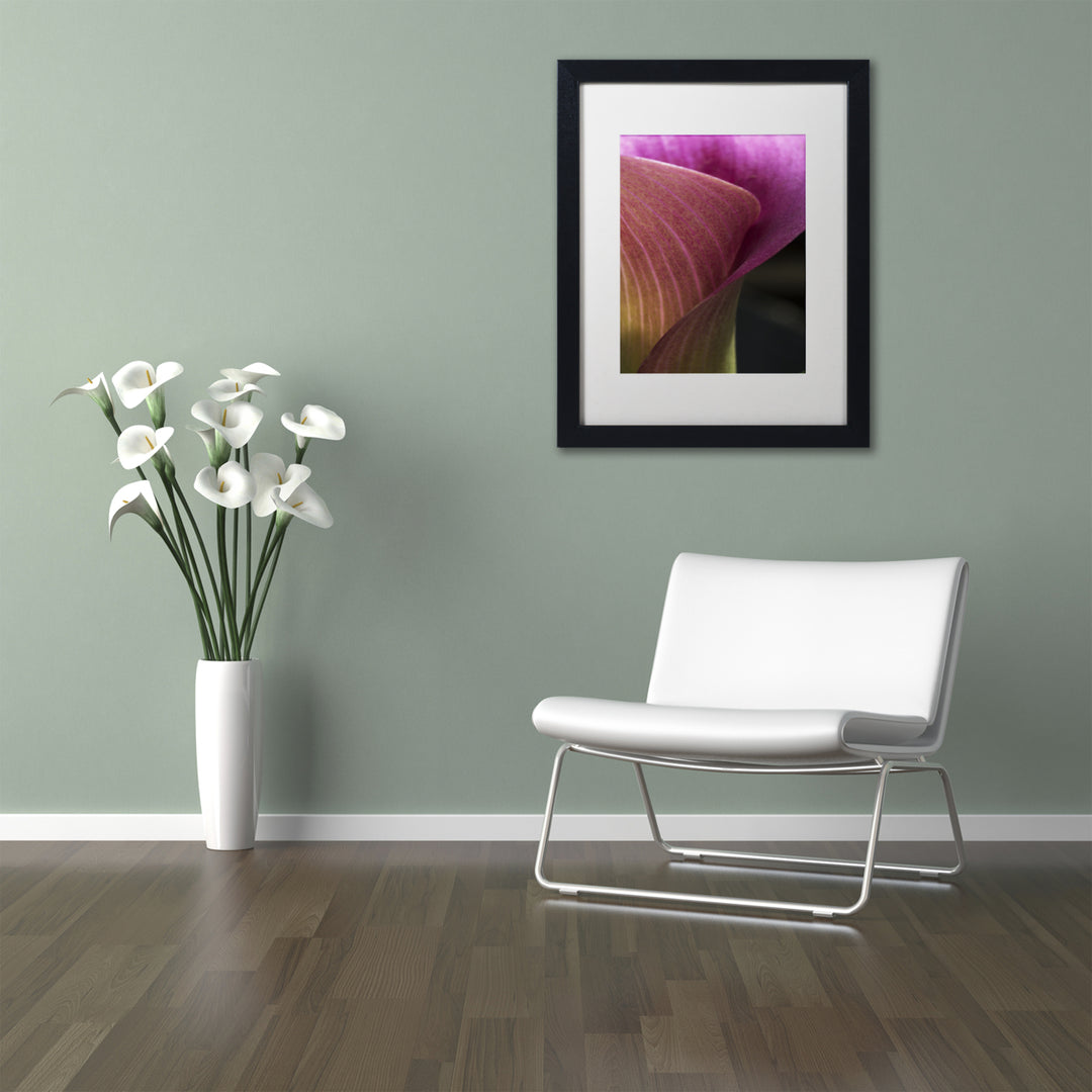 Kurt Shaffer Part of a Calla Lily Black Wooden Framed Art 18 x 22 Inches Image 2