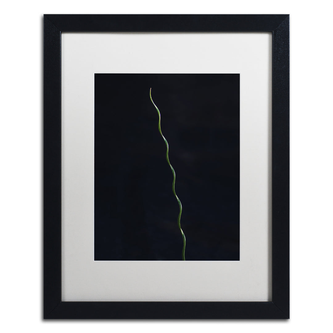 Kurt Shaffer The Green Spiral Black Wooden Framed Art 18 x 22 Inches Image 1