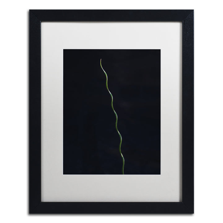 Kurt Shaffer The Green Spiral Black Wooden Framed Art 18 x 22 Inches Image 1