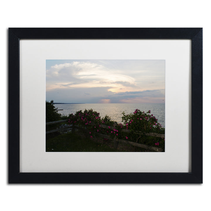 Kurt Shaffer Roses in Bloom Along the Lake Black Wooden Framed Art 18 x 22 Inches Image 1