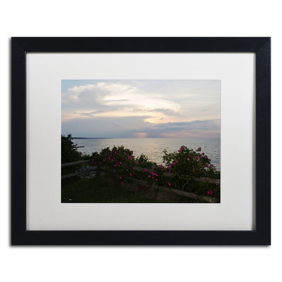 Kurt Shaffer Roses in Bloom Along the Lake Black Wooden Framed Art 18 x 22 Inches Image 1