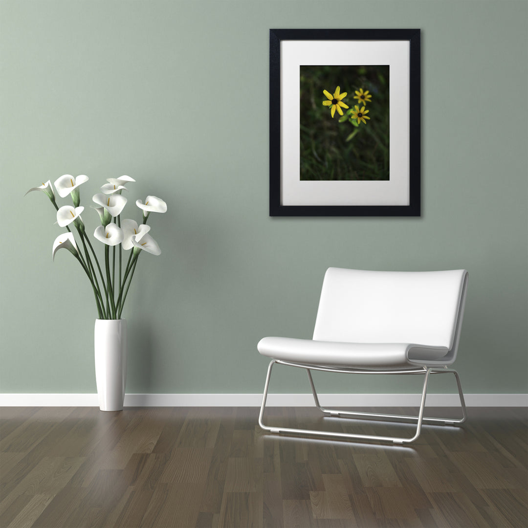 Kurt Shaffer Brown-Eyed Susan Black Wooden Framed Art 18 x 22 Inches Image 2