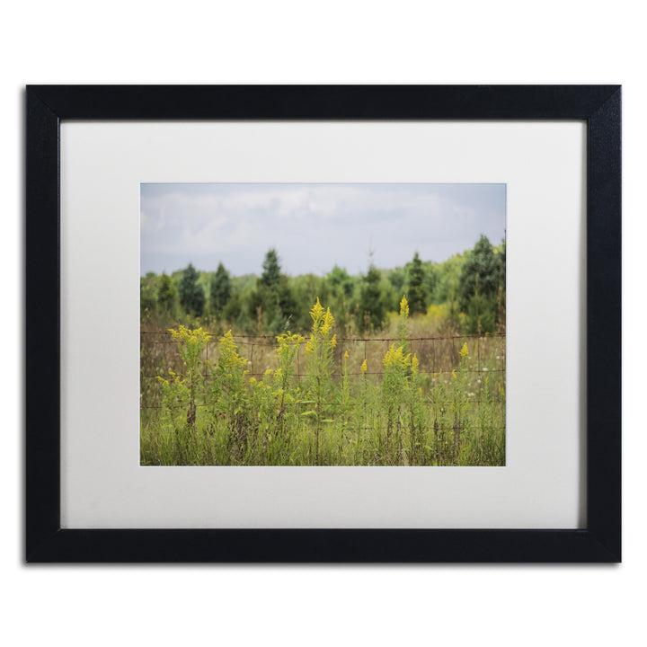 Kurt Shaffer Goldenrod Fence Black Wooden Framed Art 18 x 22 Inches Image 1