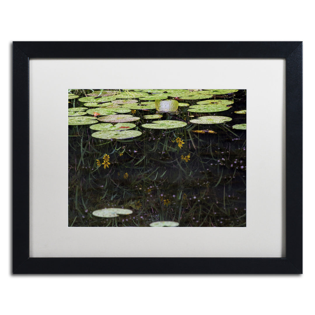 Kurt Shaffer Marsh Reflections Black Wooden Framed Art 18 x 22 Inches Image 1