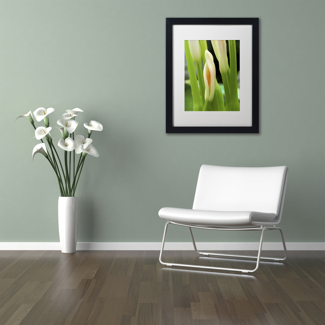 Kurt Shaffer Lily Unfolding Black Wooden Framed Art 18 x 22 Inches Image 2