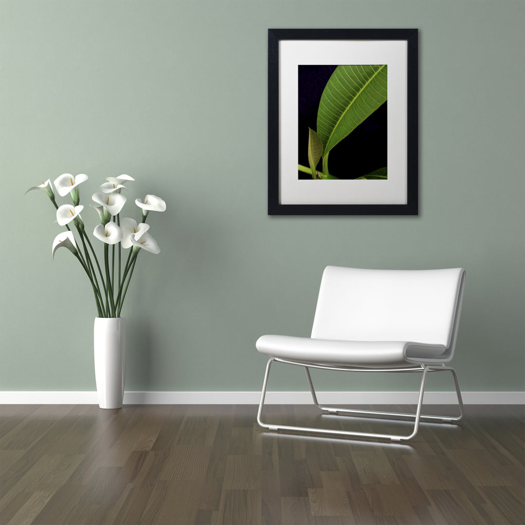 Kurt Shaffer Plumeria Leaf Abstract Black Wooden Framed Art 18 x 22 Inches Image 2