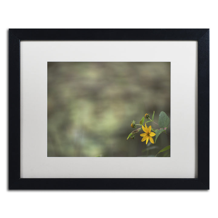 Kurt Shaffer Yellow Daisy Abstract Black Wooden Framed Art 18 x 22 Inches Image 1