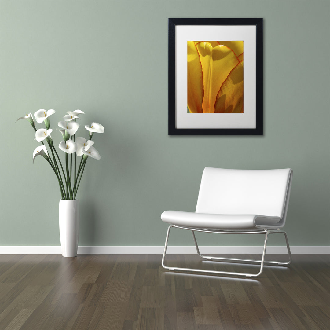 Kurt Shaffer Tulip in the Light Black Wooden Framed Art 18 x 22 Inches Image 2