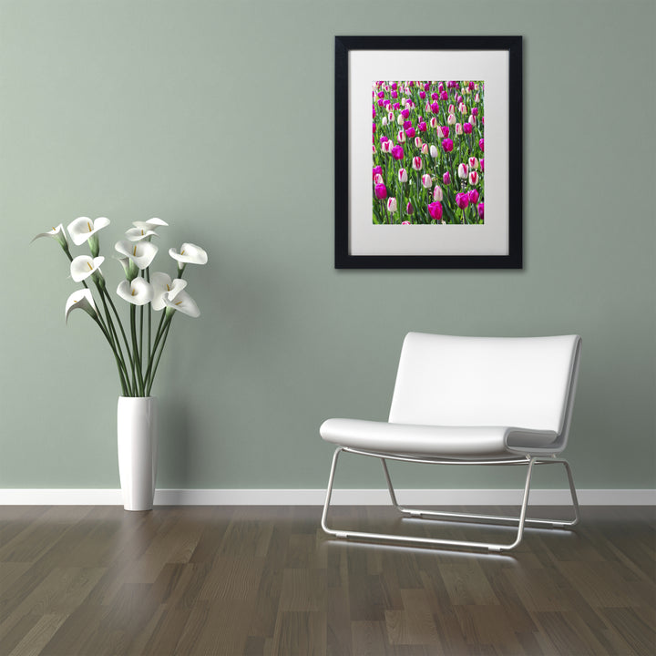 Kurt Shaffer Tulips Black Wooden Framed Art 18 x 22 Inches Image 2