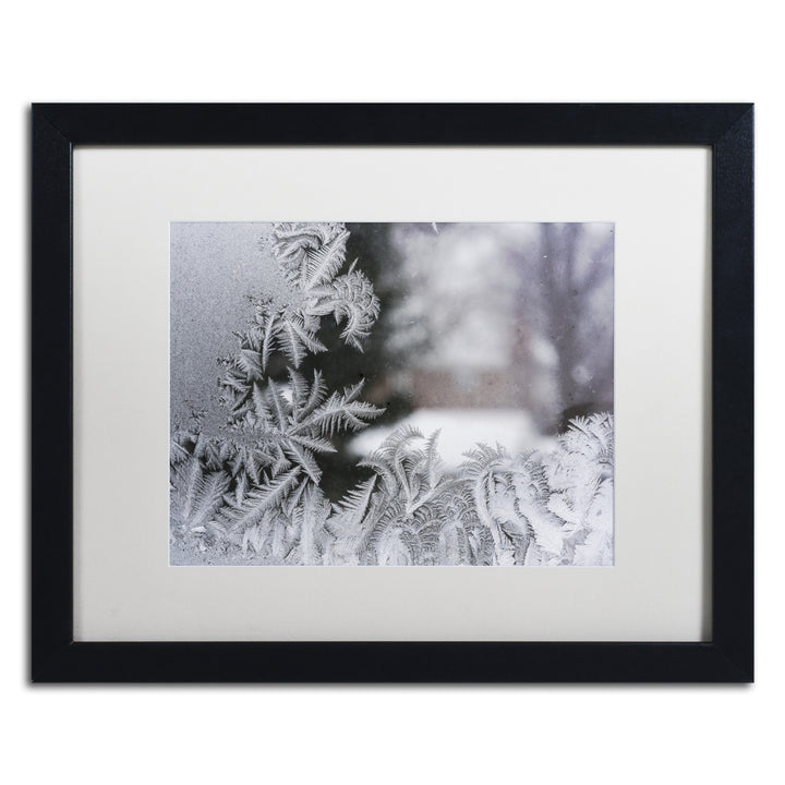 Kurt Shaffer Frost on my Window IV Black Wooden Framed Art 18 x 22 Inches Image 1